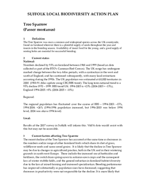 Archived action plan, 2006