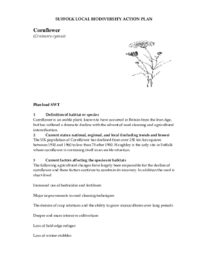 Archived action plan, 2007