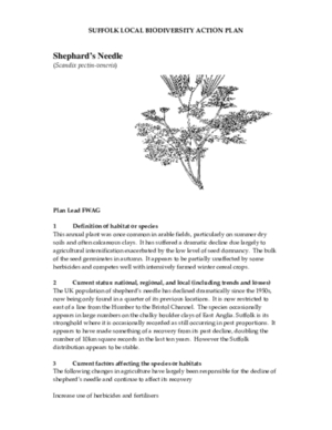 Archived action plan, 2007