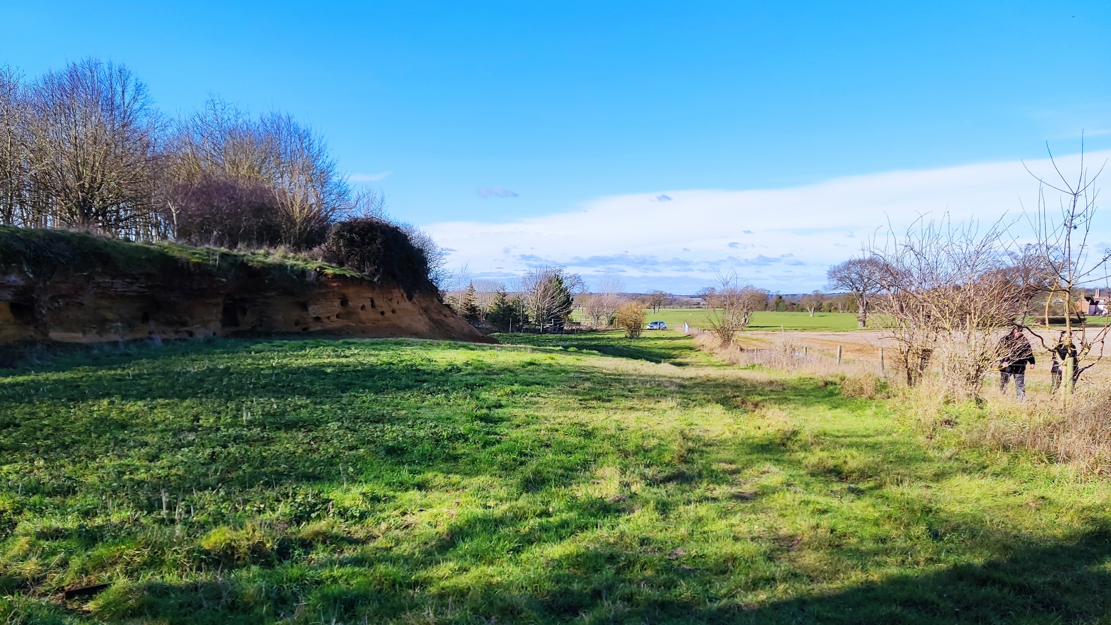 Rockhall Wood Pit SSSI