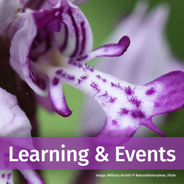 Link to Learning and Events