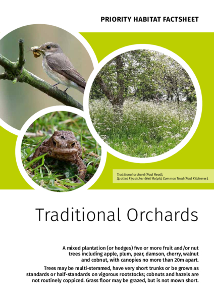 Priority habitat factsheet