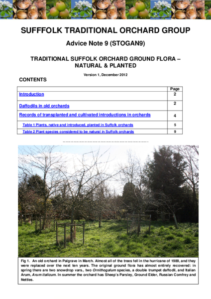 9:  Suffolk Traditional orchard ground flora - natural and planted