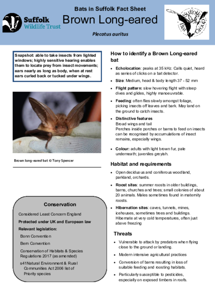2025 Fact Sheet