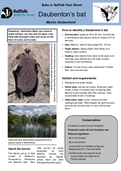 2025 Fact Sheet