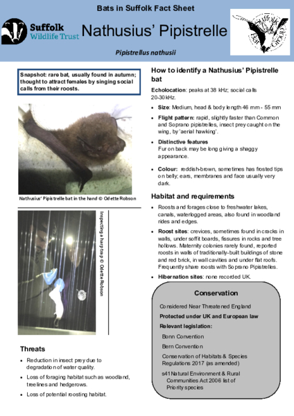 2025 Fact Sheet