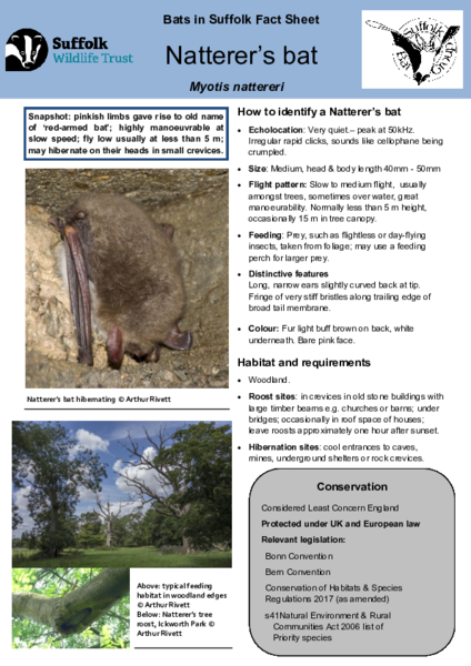 2025 Fact Sheet