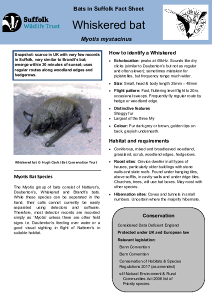 2025 Fact Sheet