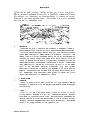 Archived action plan, 2003 – Saltmarsh