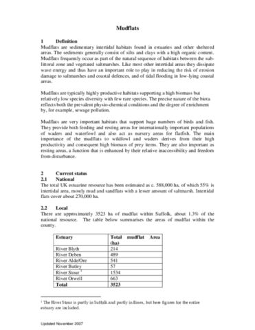 Archived action plan, 2003 - Mudflats