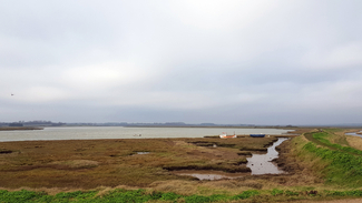 A river with tidal muflats