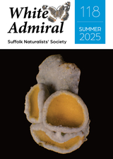White Admiral 118 Cover image