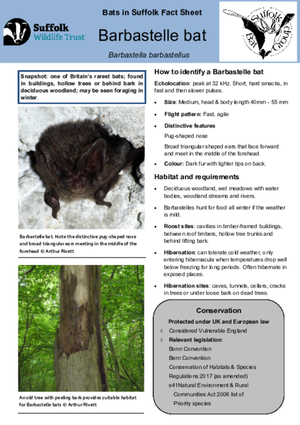 2025 Fact Sheet
