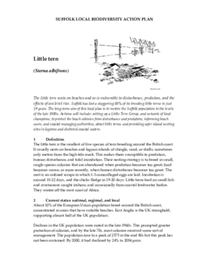 Archived action plan, 2006