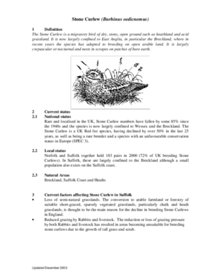 Archived action plan, 2003