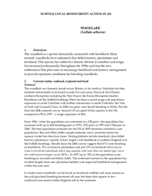 Archived action plan, 2007
