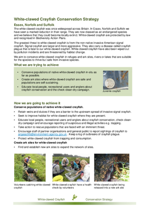 Conservation strategy summary, 2015