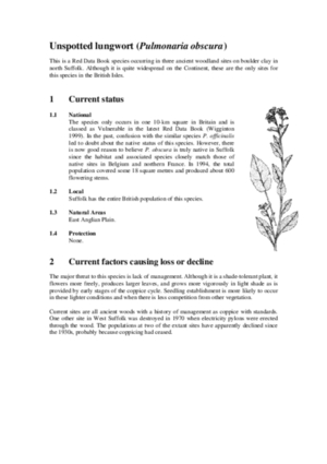 Archived action plan, 2000